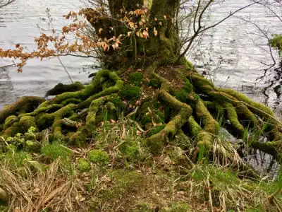 trae rodder kolding1